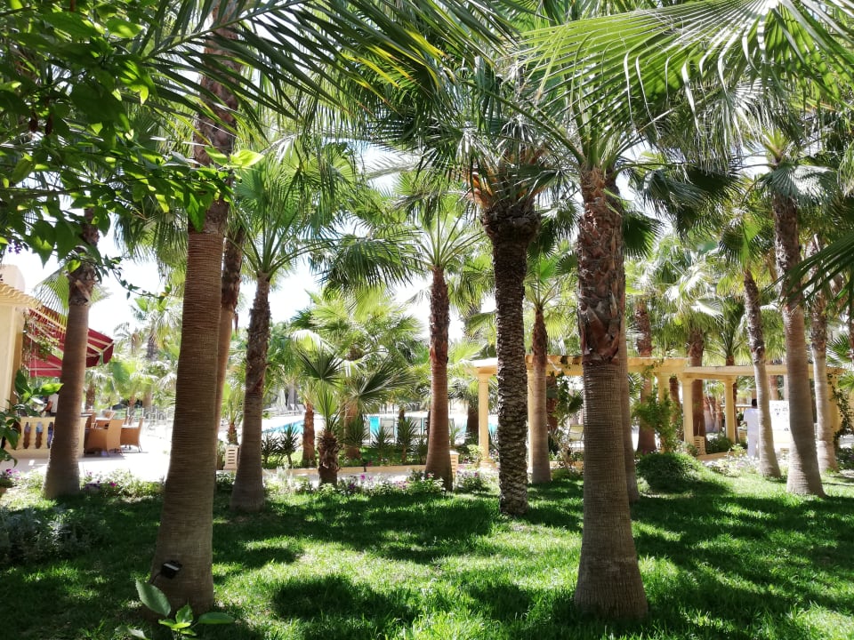 Ausblick The Ksar Djerba Charming Hotel & SPA