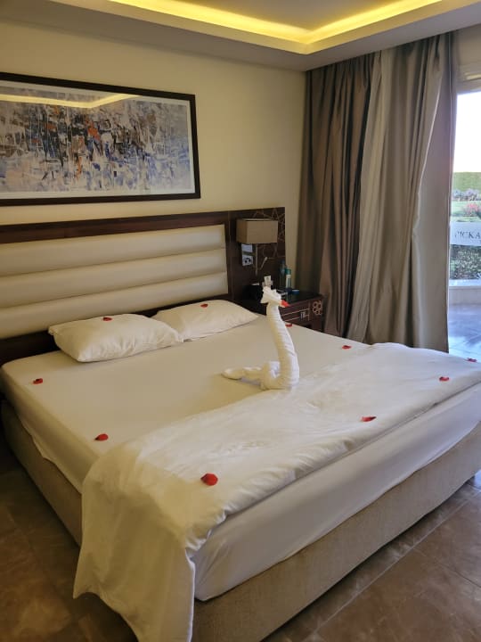 Zimmer Beach Albatros Resort