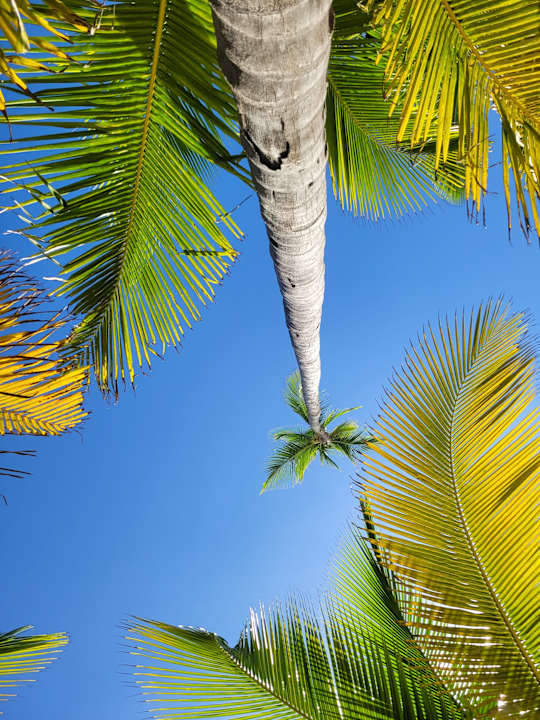 Strand Dreams Onyx Resort & Spa