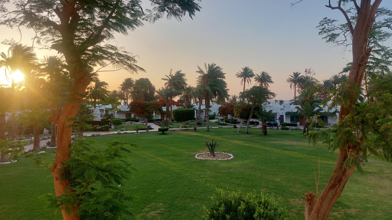 Ausblick Shams Safaga Resort