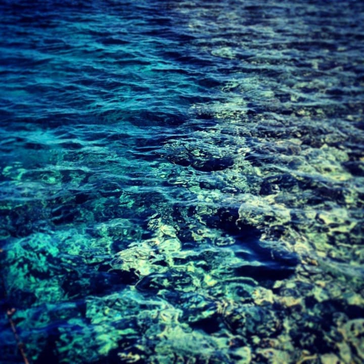 Море риф Stella Garden Resort & Spa, Makadi Bay