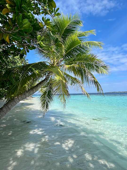 Strand Vilamendhoo Island Resort & Spa