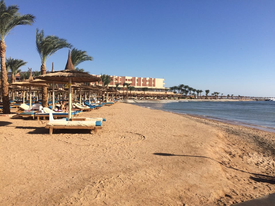 Zimmer Pickalbatros Palace Resort
