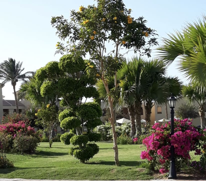 Gartenanlage Cleopatra Luxury Resort Makadi Bay