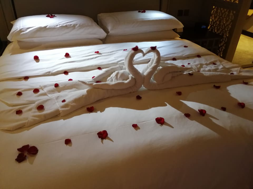 Zimmer Palace Downtown