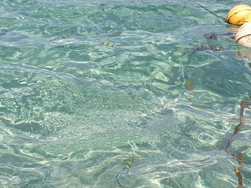 Strand Malikia Resort Abu Dabbab