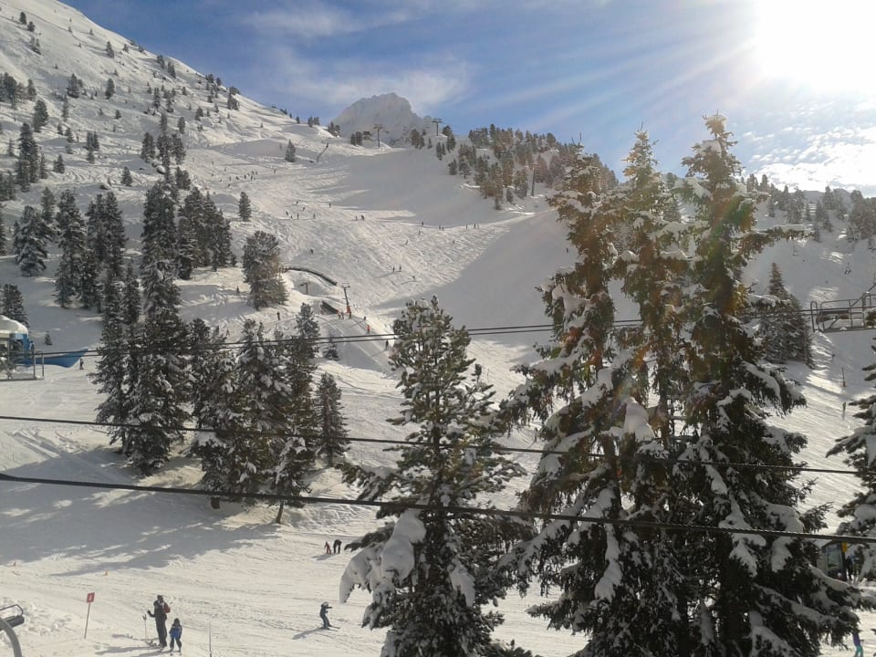 Skiurlaub vom Feinsten!!! Pension Edelweiss