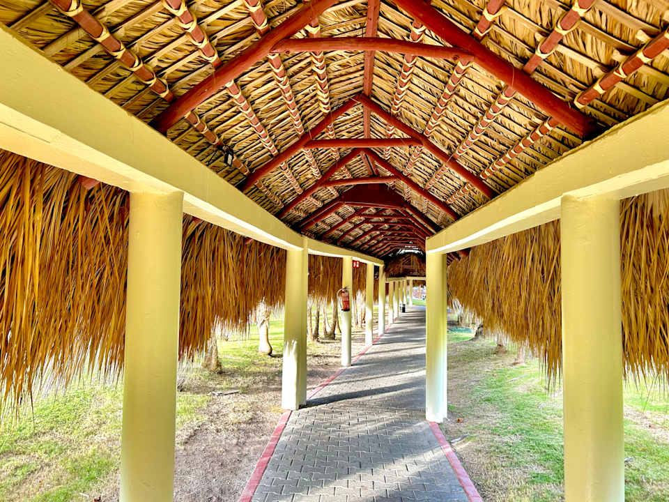 Gartenanlage TRS Turquesa Hotel - Adults only