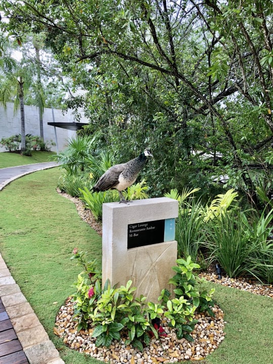 Gartenanlage Blue Diamond Luxury Boutique Hotel