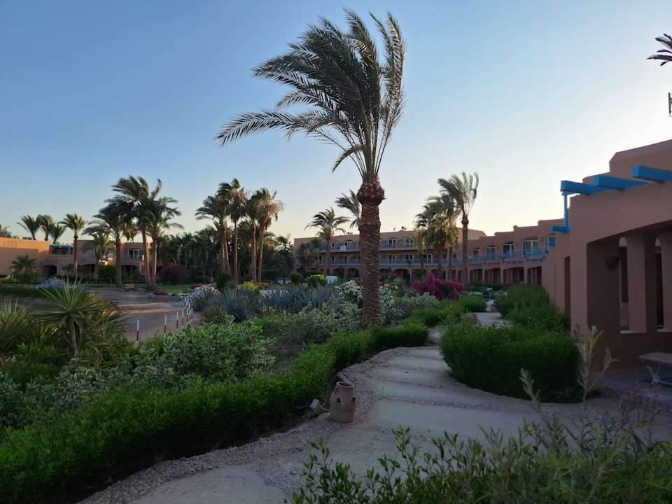 Gartenanlage Club Paradisio El Gouna, Red Sea
