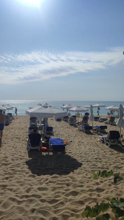 Strand Sentido Marea