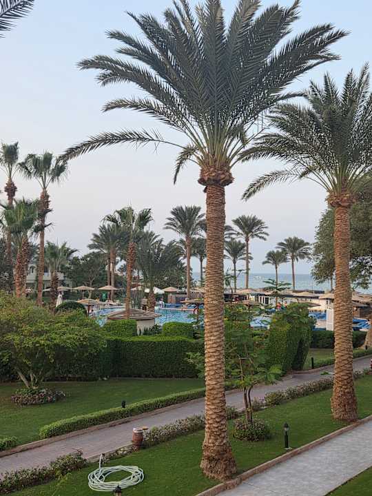 Gartenanlage Golden Beach Resort