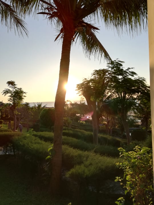 Außenansicht Hotel Romana Resort