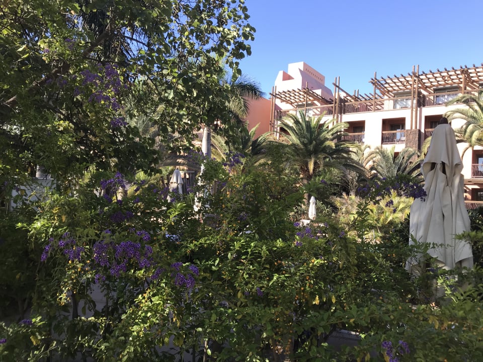 Gartenanlage Lopesan Baobab Resort