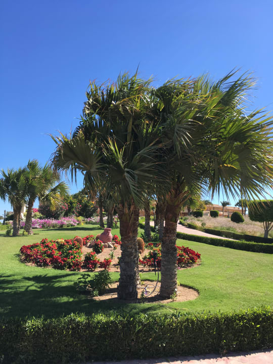 Gartenanlage Cleopatra Luxury Resort Makadi Bay