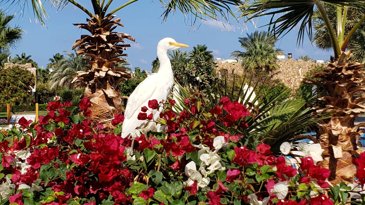 Sonstiges Brayka Bay Resort