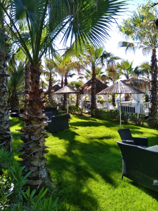 Außenansicht Hotel Delphin Diva