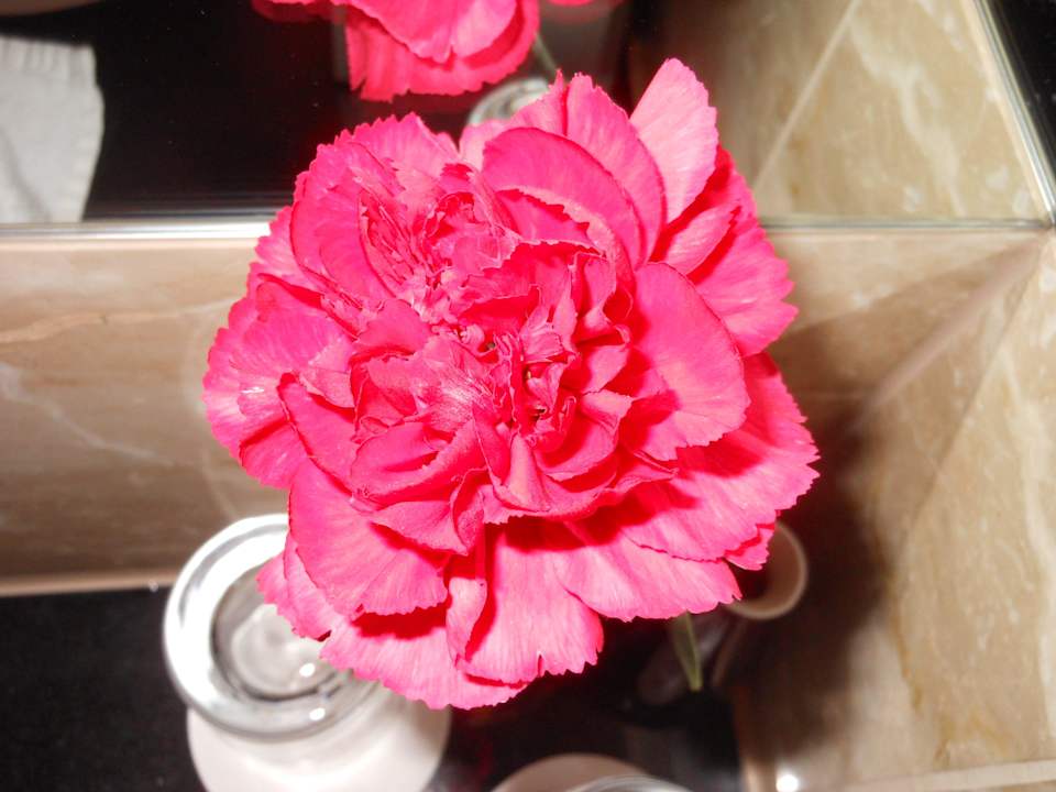 Gäste-WC - Blume Sheraton Warsaw Hotel