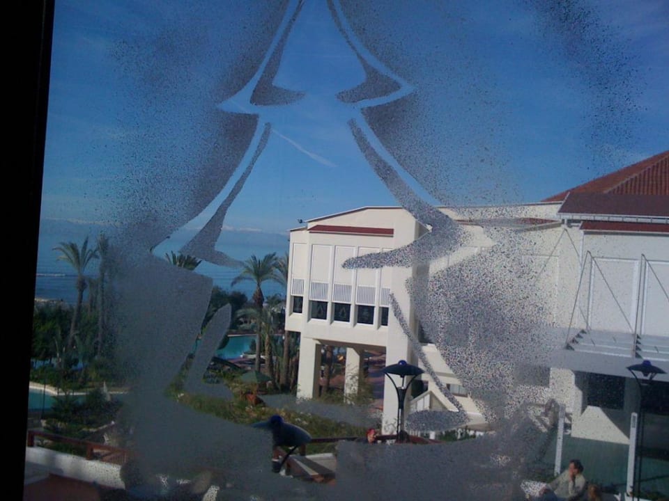 Blick vom Speisesaal auf die Aussenanlage PALOMA Perissia