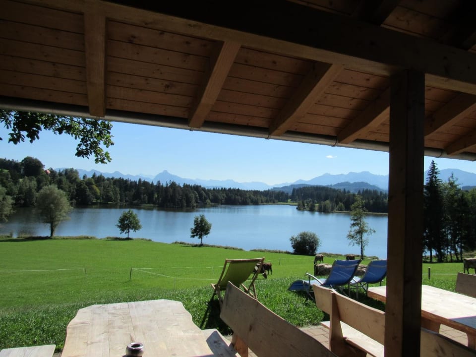 Ausblick Ferienhof Paulsteiner