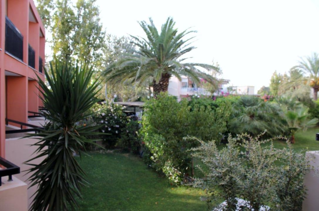 Blick aus Zimmer 228 Hotel Minos Mare Beach