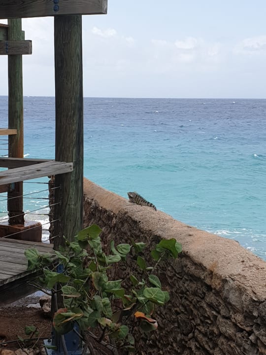 Ausblick Avila Beach Hotel