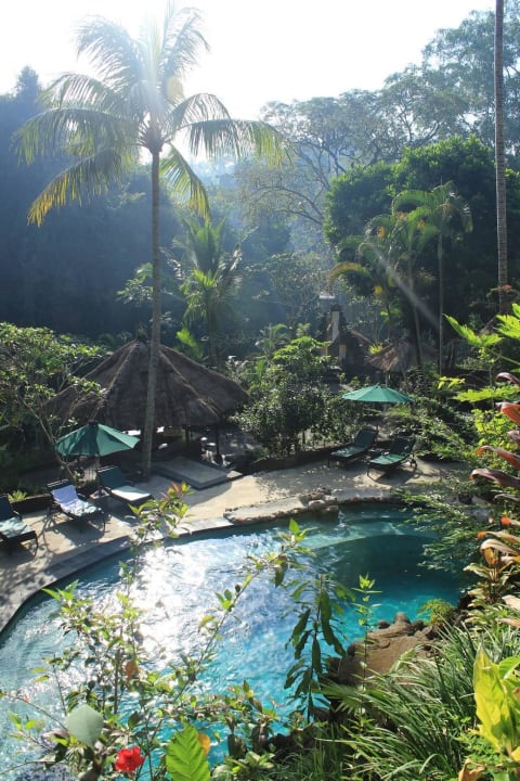 Pool mit tollem Ausblick Hotel Tjampuhan