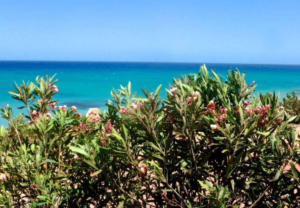Blick aufs türkise Meer H10 Tindaya