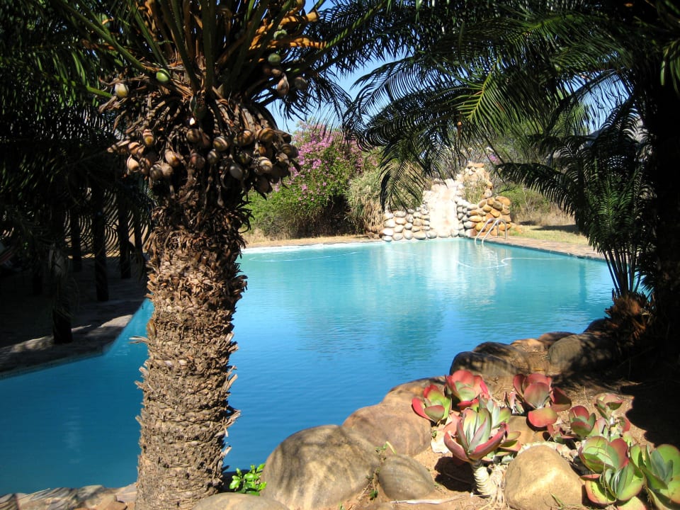 Poollandschaft Cheetah Inn Lodge