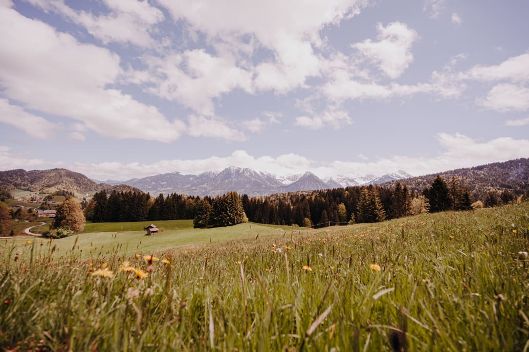 Ausblick Hotel Alpe Dornach