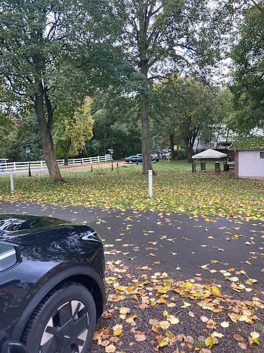 Ausblick Seehotel Frankenhorst - BW Signature Collection