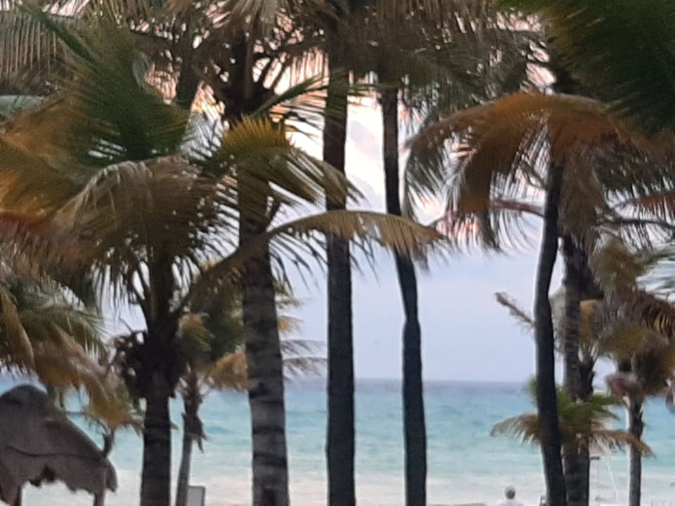Strand Viva Azteca by Wyndham - All Inclusive Resort