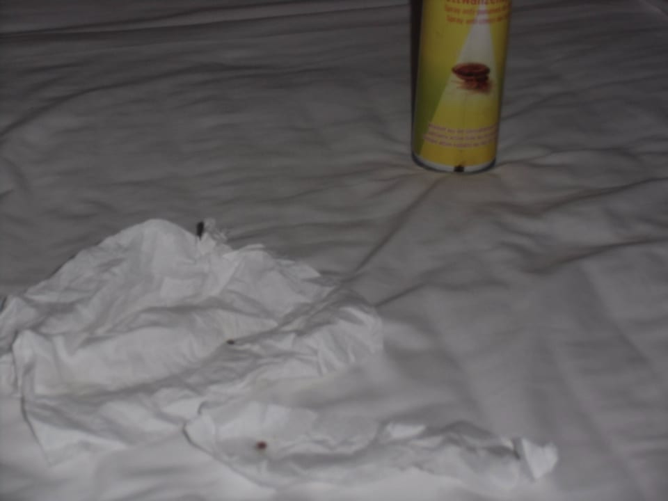 Bettwanzen Sandies Bathala Maldives