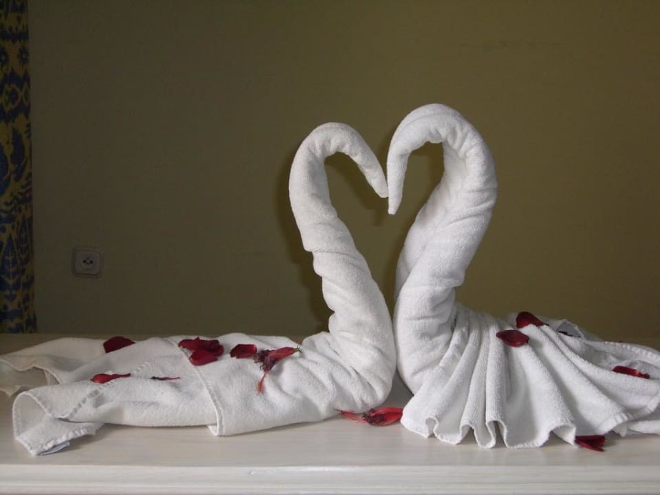 Willkommen Iberostar Waves Costa Dorada