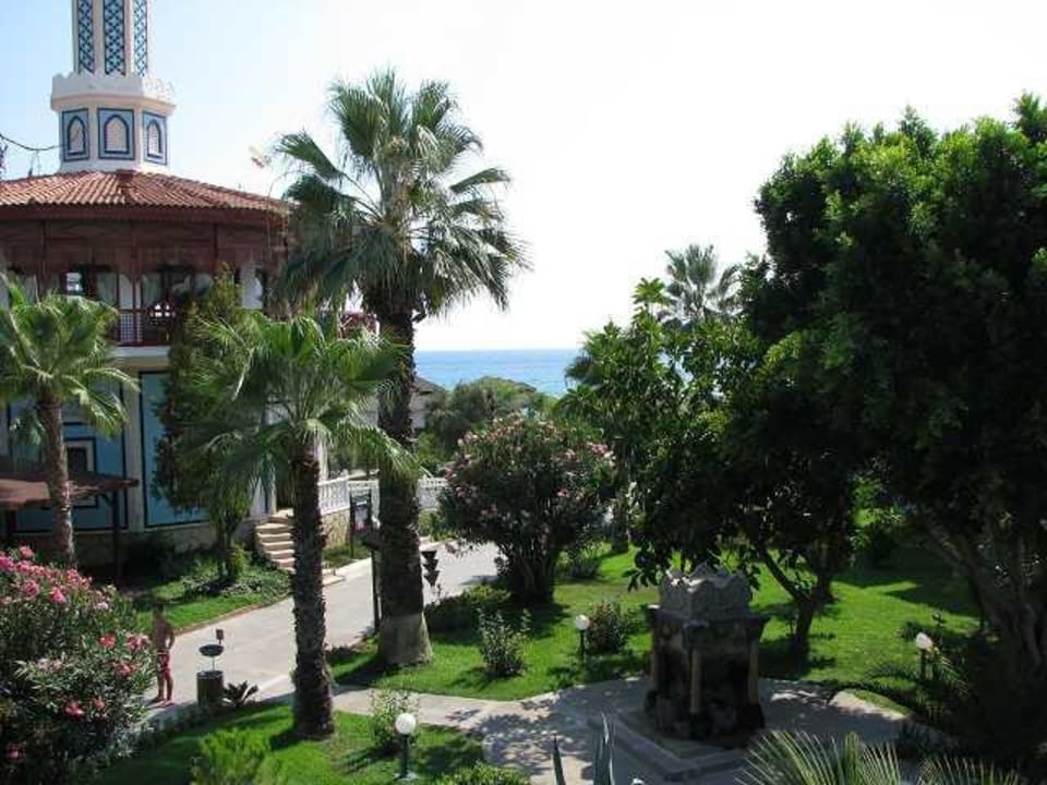 Blick vom Zimmer Ali Bey Club