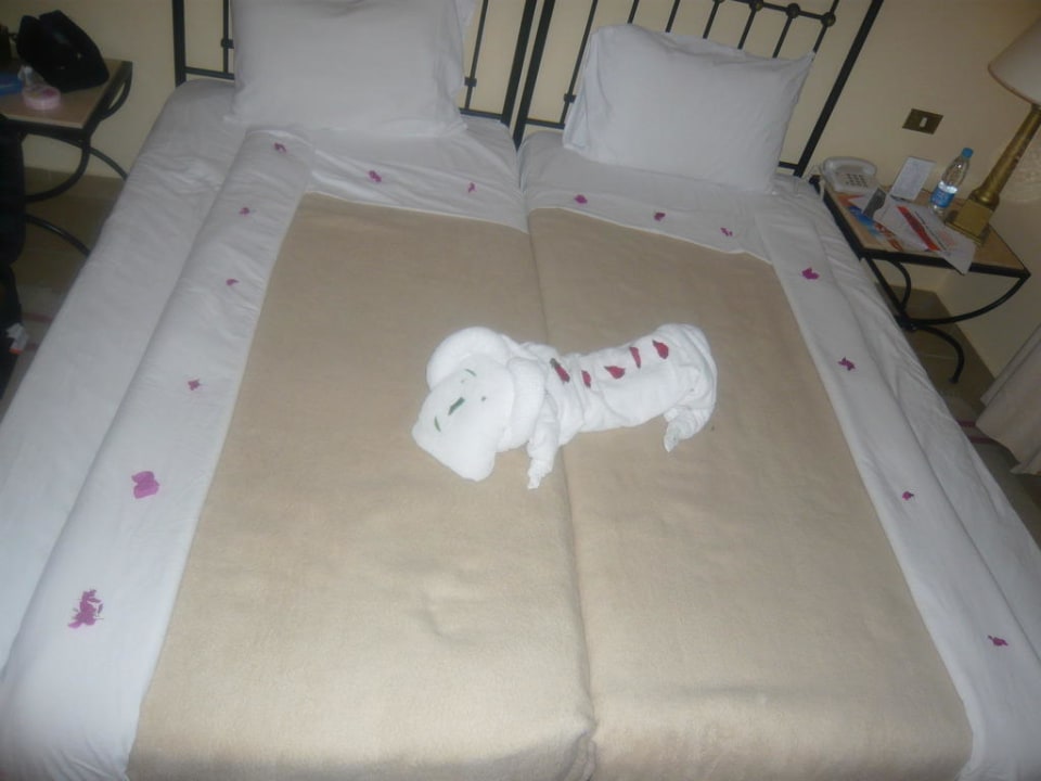 Kleiner Hund Jaz Makadi Saraya Resort