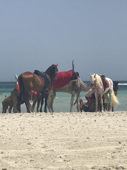 Strand Iberostar Waves Mehari Djerba