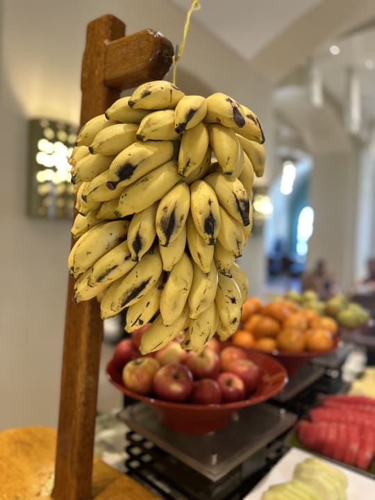 Gastro Salalah Rotana Resort