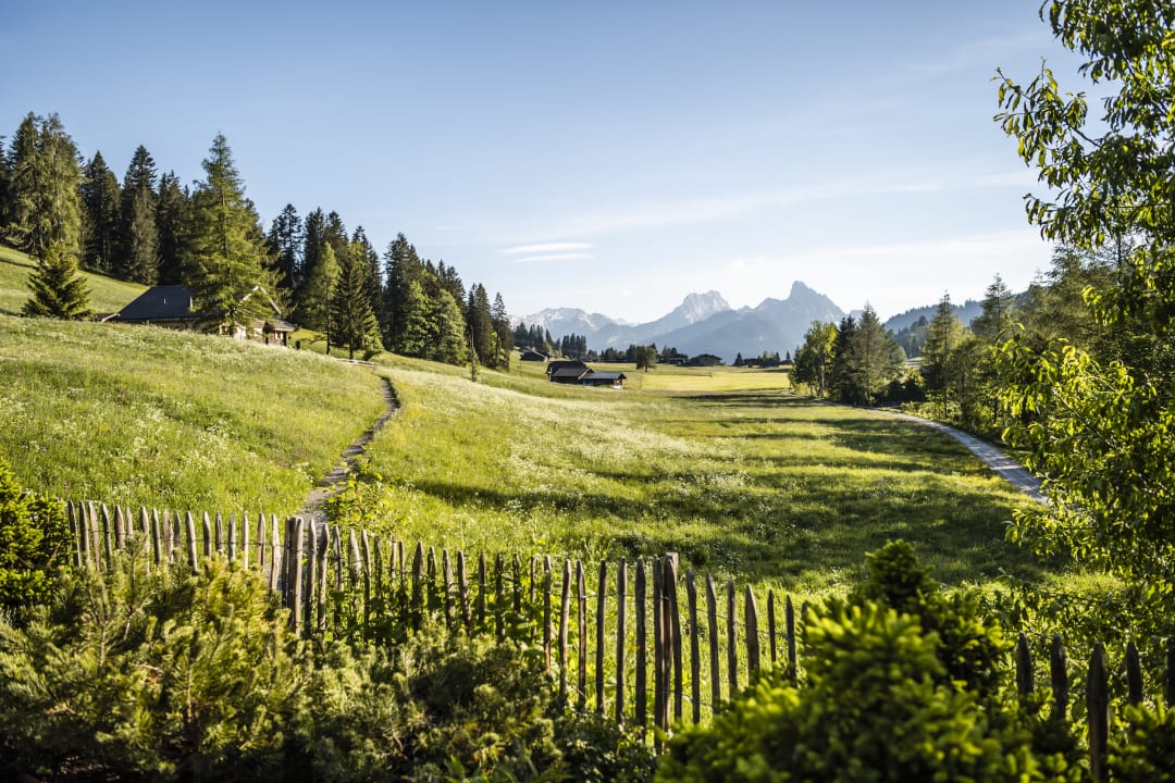Ausblick MAISON HORNBERG