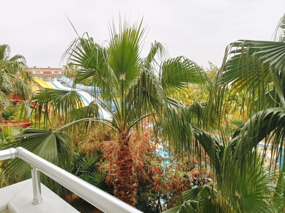 Ausblick Hane Family Resort