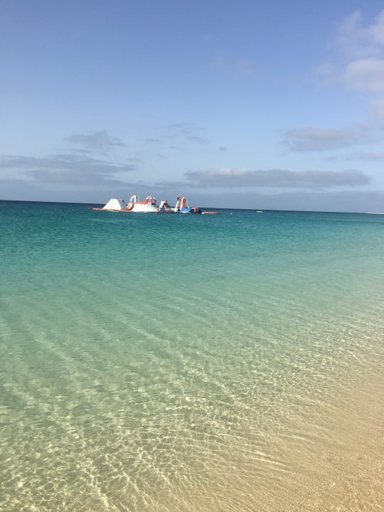 Strand Oasis Salinas Sea