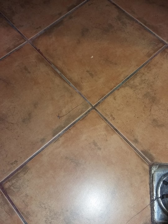 Nach der Reinigung Andalucia Beach Hotel & Residence