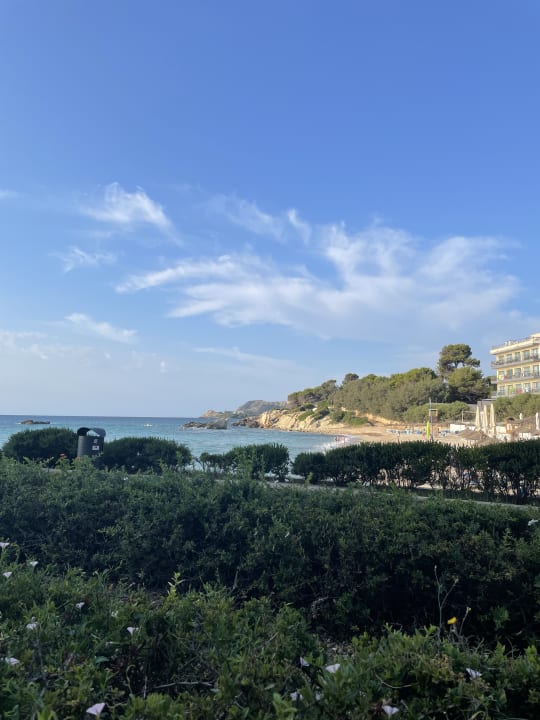 Gastro Son Moll Sentits Hotel & Spa