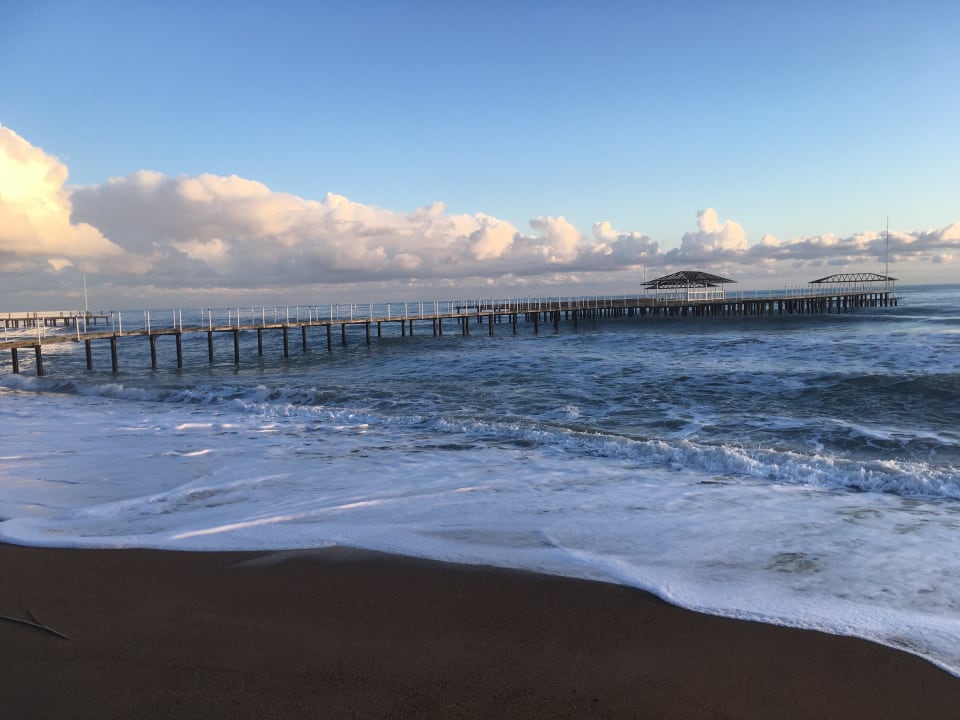 Strand Royal Seginus