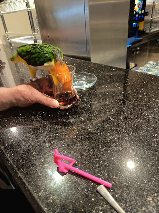 Sonstiges Seaden Corolla Hotel