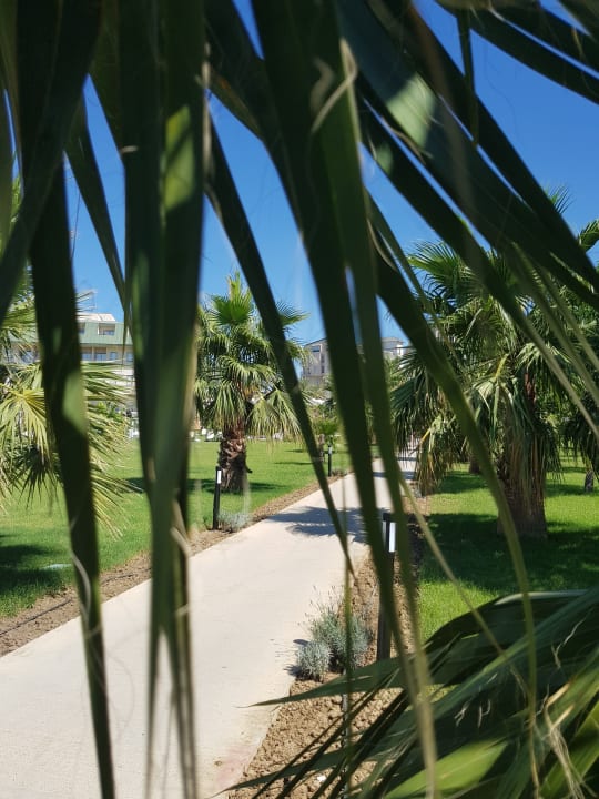 Gartenanlage Hotel Novum Garden Side