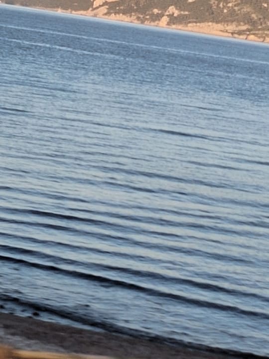 Strand Alcudia Garden Aparthotel