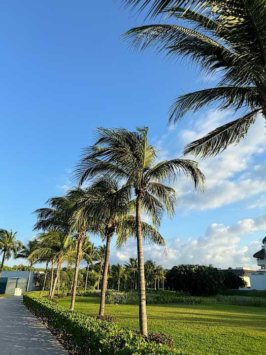 Außenansicht BlueBay Grand Esmeralda