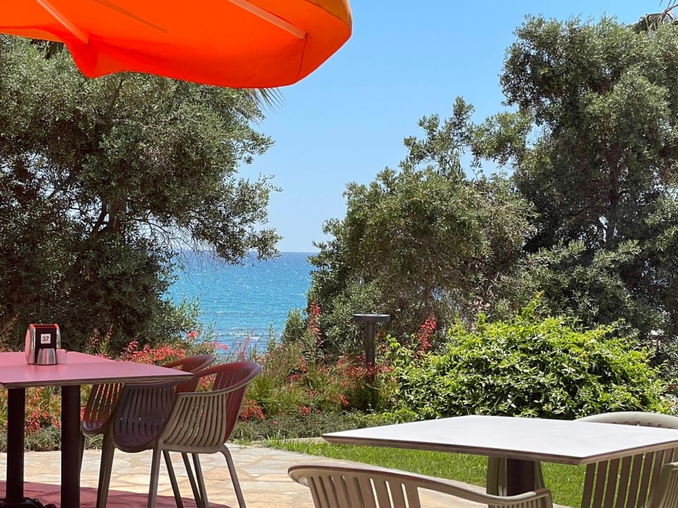 Ausblick Arum Barut Collection