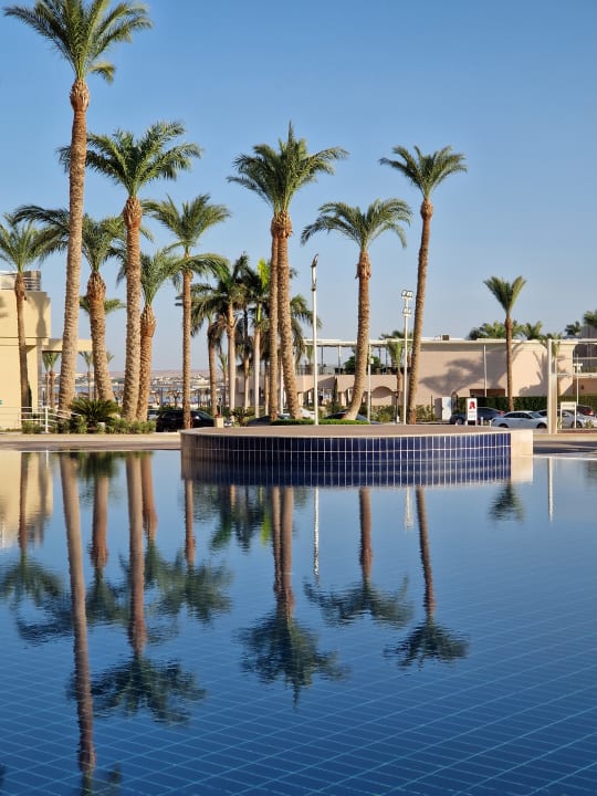 Pool Beach Albatros Resort